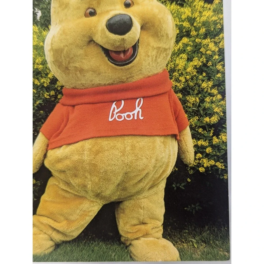 Vintage Pooh Postcard with Hunny Pot Hat, 1987 Walt Disney World,‎ 6
